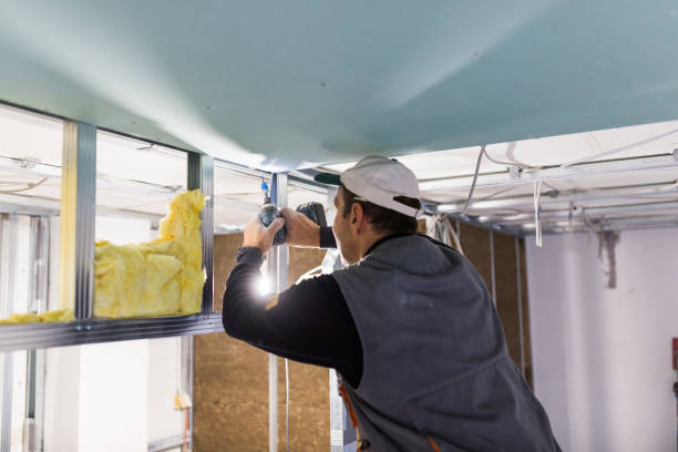 Best Cellulose Insulation in Hanceville, AL