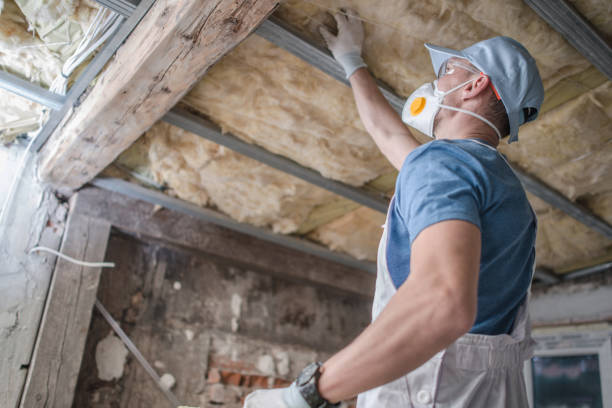 Best Energy Efficiency Insulation in Hanceville, AL
