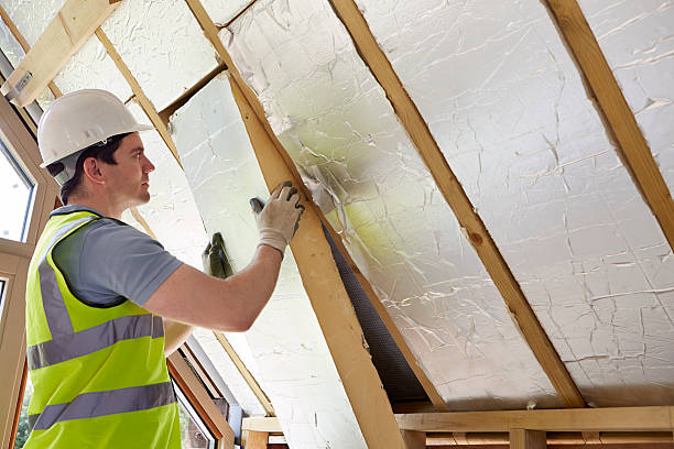 Best Specialized Insulation Services in Hanceville, AL